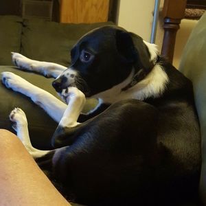 Meet your Posher, Greg